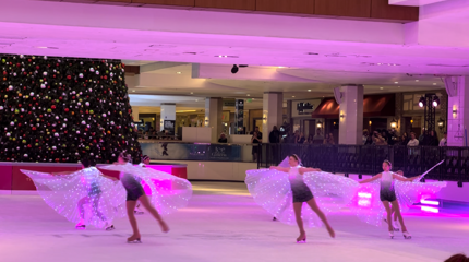 A group of ice skaters practicing skating